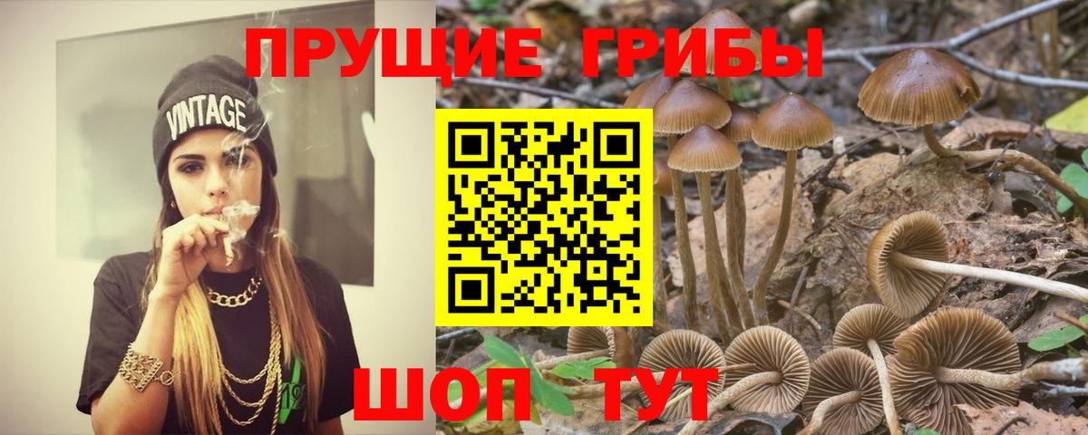 Псилоцибиновые грибы ЛСД  Вход с VPN  Псилоцибиновые грибы прущие грибы  Озёры 