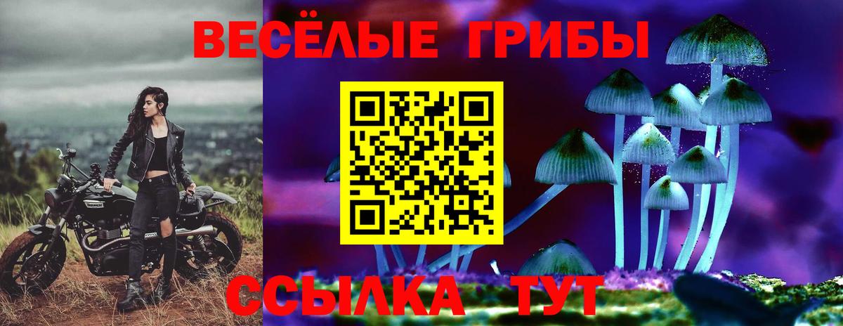 Галлюциногенные грибы MAGIC MUSHROOMS Озёры